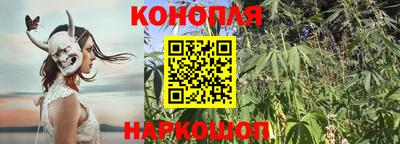 мескалин Малгобек