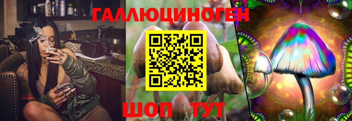Псилоцибиновые грибы Cubensis Верхний Уфалей